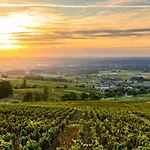 Campsite La Grappe Fleurie