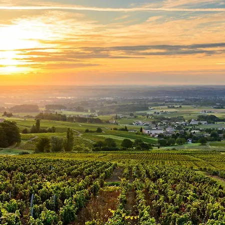 Campsite La Grappe Fleurie