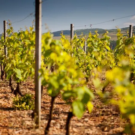 La Grappe 4* Fleurie