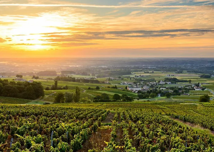 营地 La Grappe 弗勒里