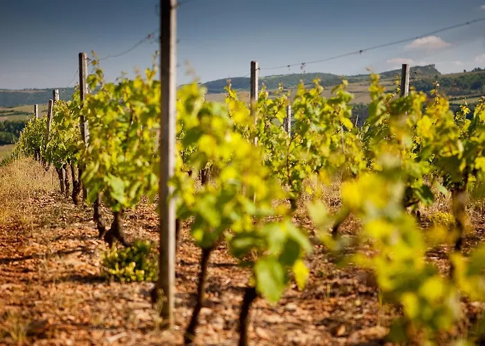 La Grappe 4* Fleurie